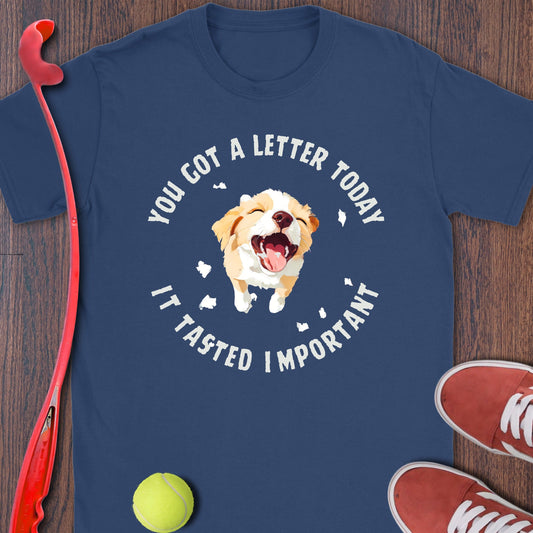 You Got A Letter Today It Tasted Important Shirt product type